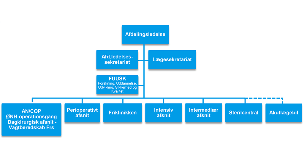 Organisationsdiagram over Anæstesiologisk Afdeling