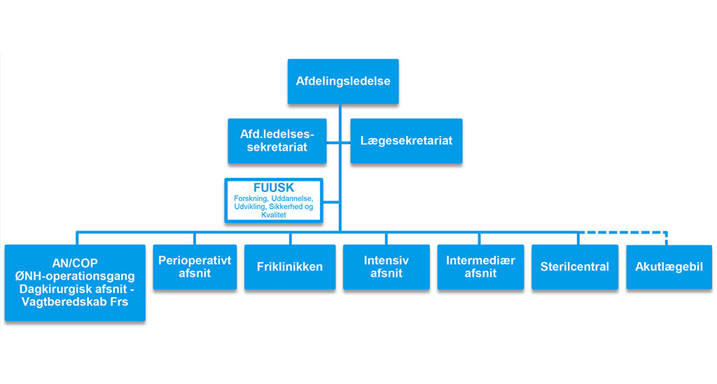Organisationsdiagram over Anæstesiologisk Afdeling
